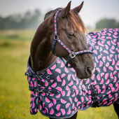 Turnout Rug Watermelon HG 0g Navy Blue Turnout Rug Watermelon HG 0g Navy Blue
