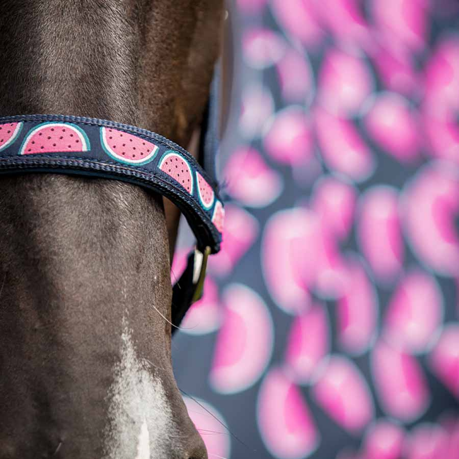 Halter Watermelon HG Navy Blue