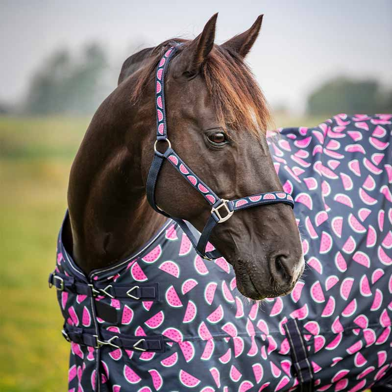 Halter Watermelon HG Navy Blue