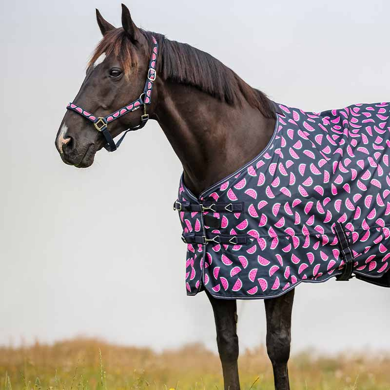 Halter Watermelon HG Navy Blue