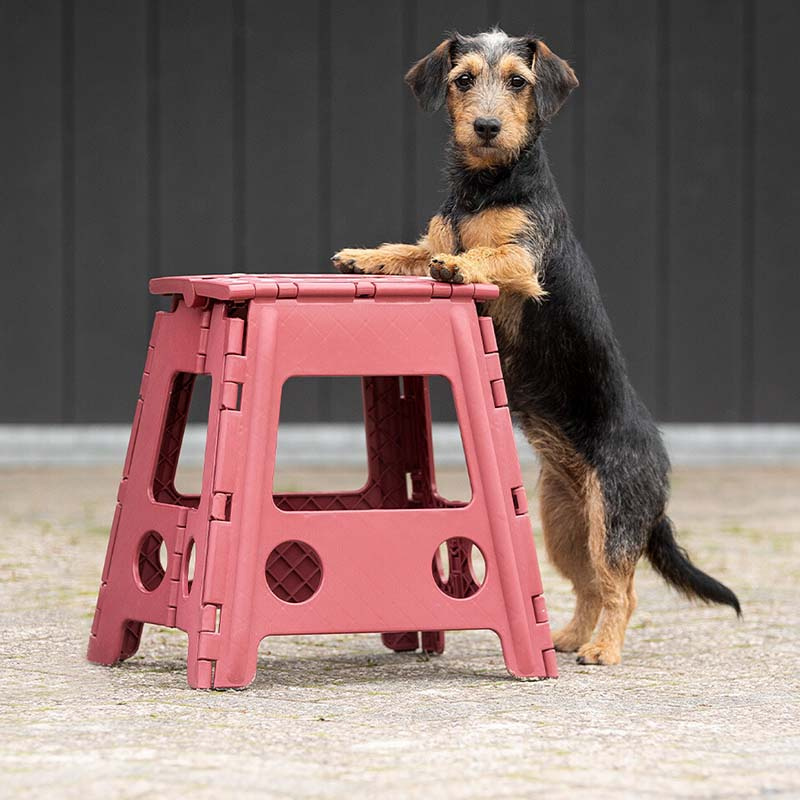 Folding Stool Step-Up Bordeaux