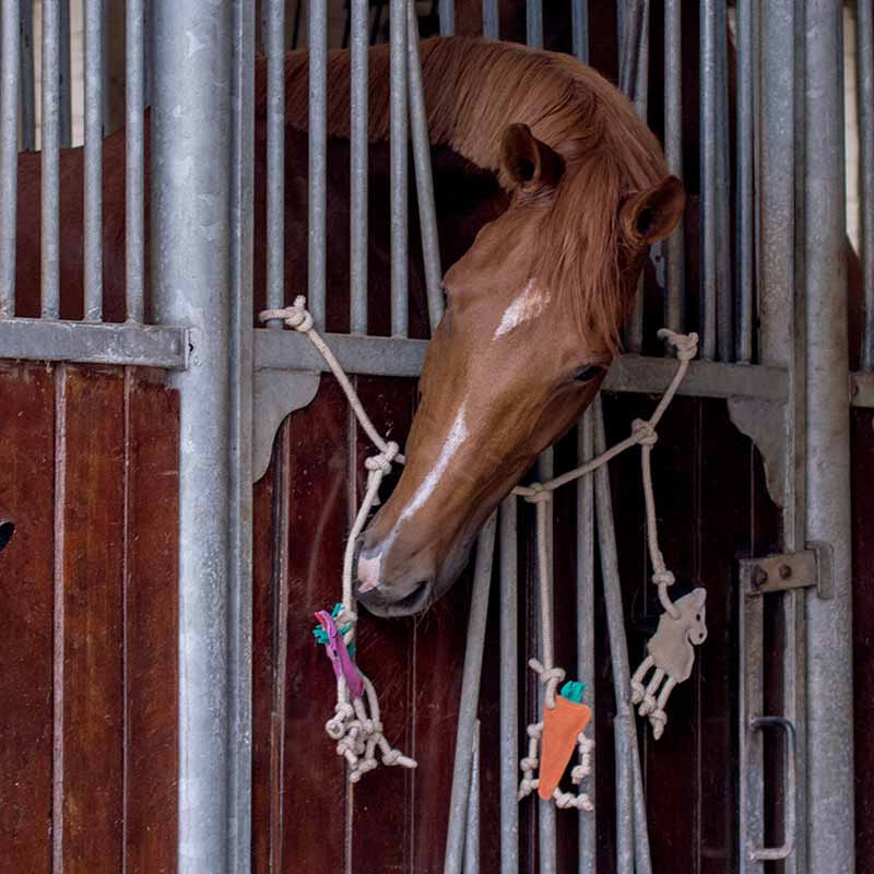 Horse Toy Box Hanger in Suede