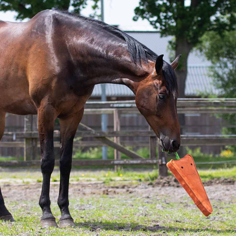 Horse Toy Carrot XL in Suede ECO Orange