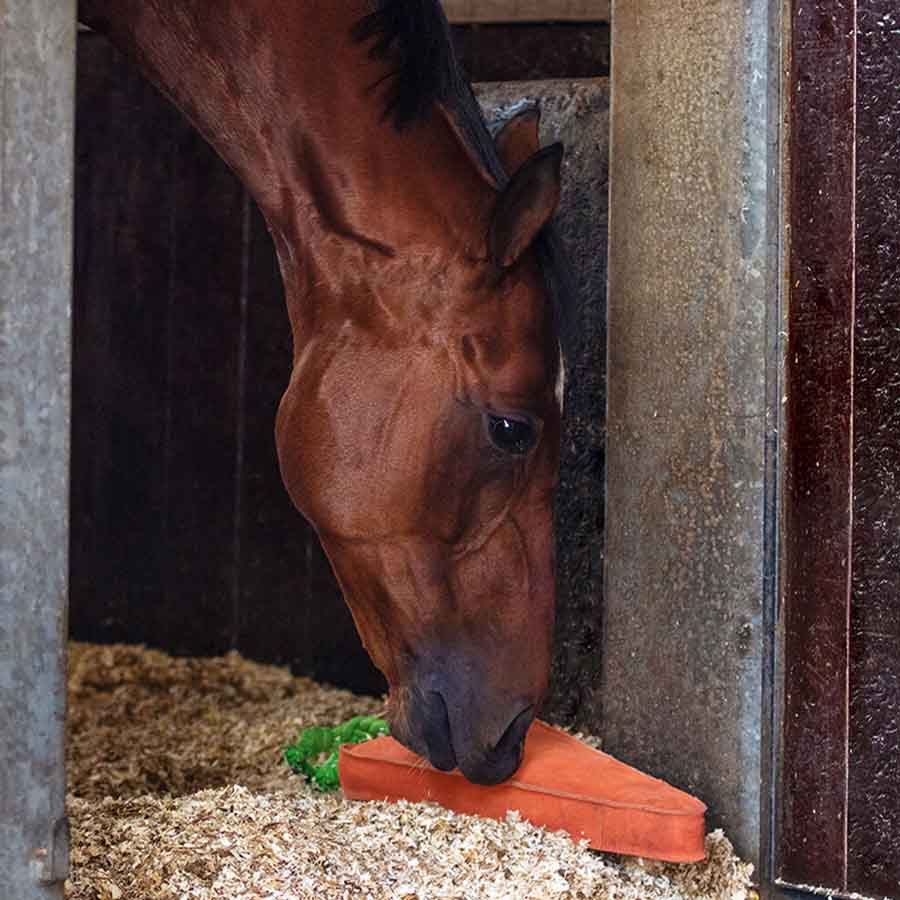 Horse Toy Carrot XL in Suede ECO Orange