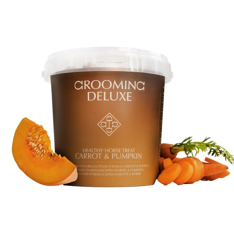 Healthy Horse Treats Carrot & Pumpkin 500g