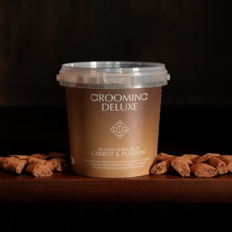 Healthy Horse Treats Carrot & Pumpkin 500g