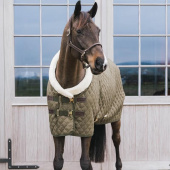 Show Rug/Stable Rug 160g Green Show Rug/Stable Rug 160g Green