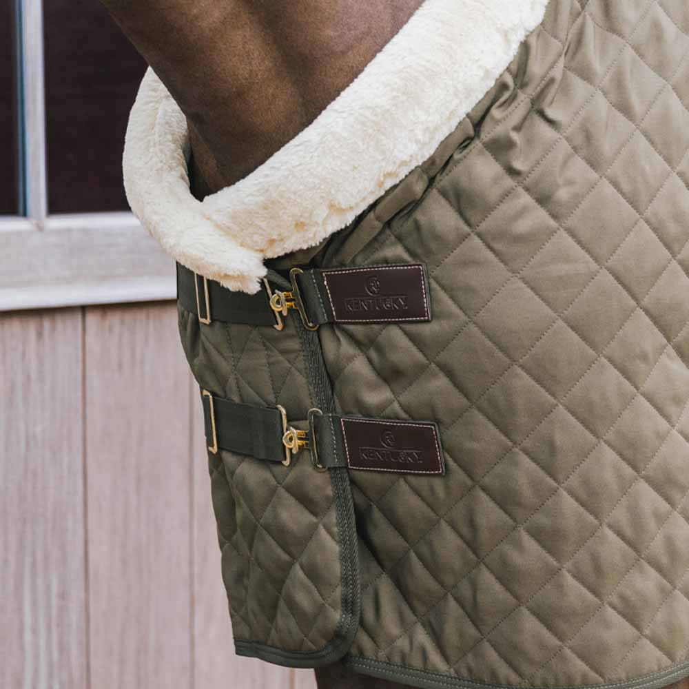 Show Rug/Stable Rug 160g Green