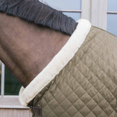 Show Rug/Stable Rug 160g Green Show Rug/Stable Rug 160g Green