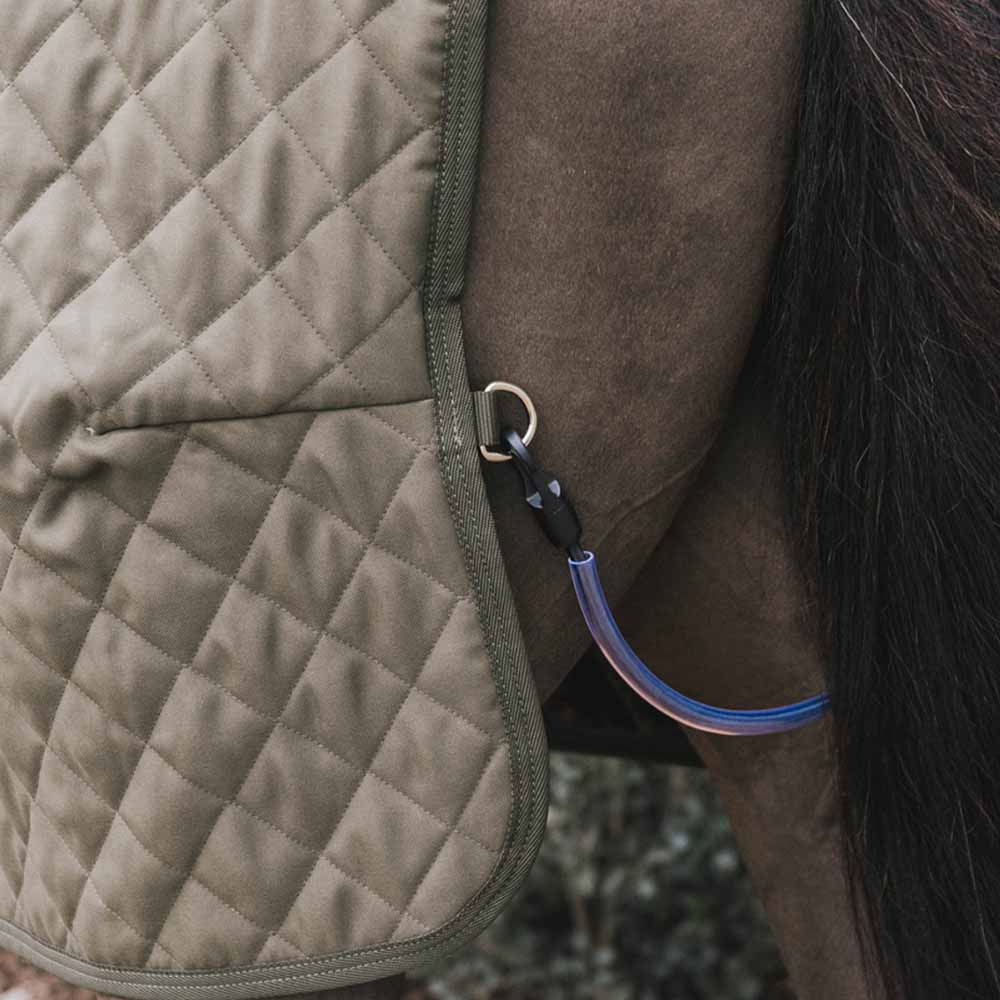 Show Rug/Stable Rug 160g Green