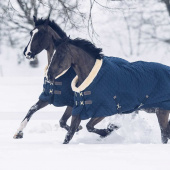 Competition Rug 160g Navy