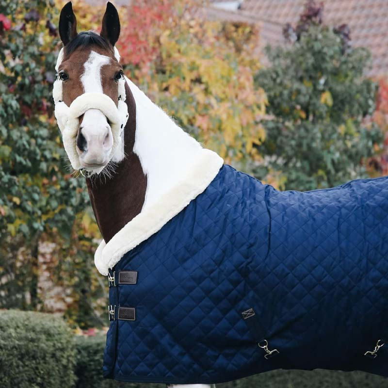 Competition Rug 160g Navy