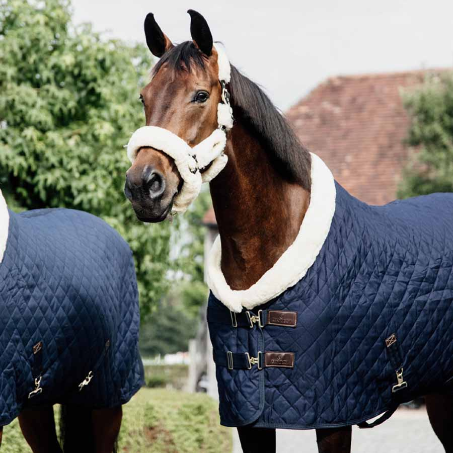 Competition Rug 160g Navy