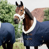 Competition Rug 160g Navy Competition Rug 160g Navy