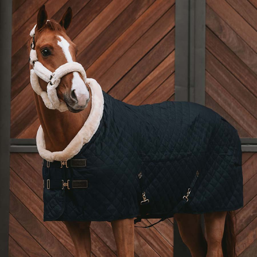 Competition Rug 160g Black