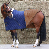 Stable Rug 400g Navy