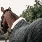 Stable Rug 400g Black Stable Rug 400g Black