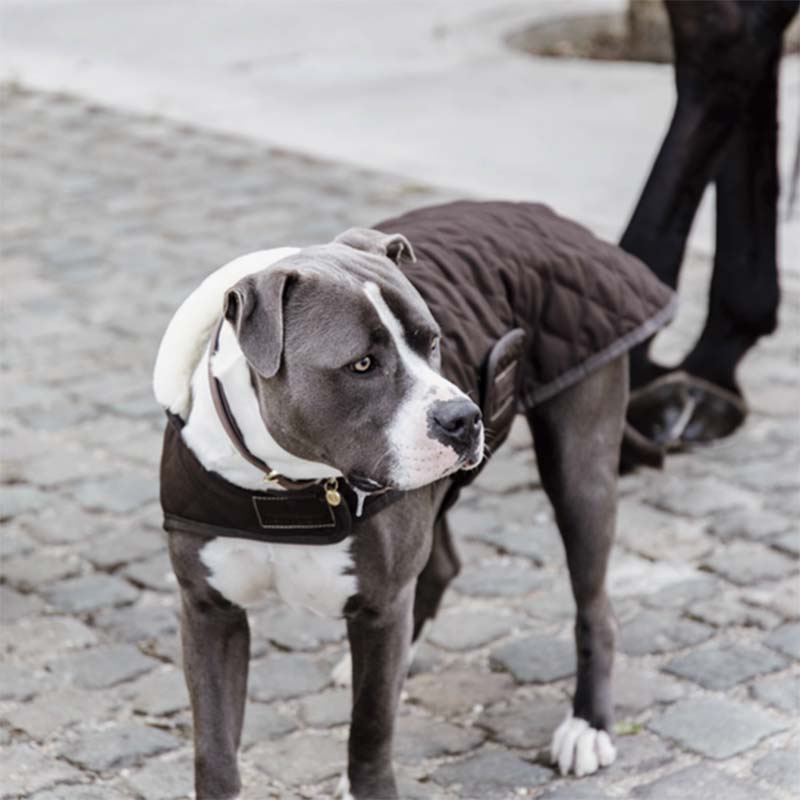 Dog Blanket Original Brown