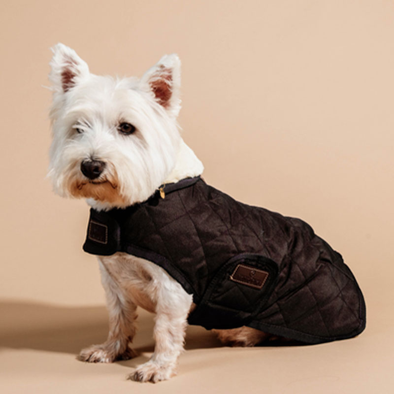 Dog Blanket Original Brown