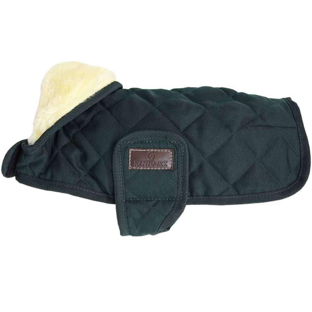 Dog Blanket Original Green