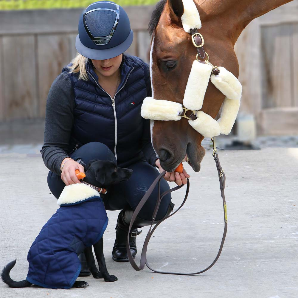 Dog Coat Original Navy