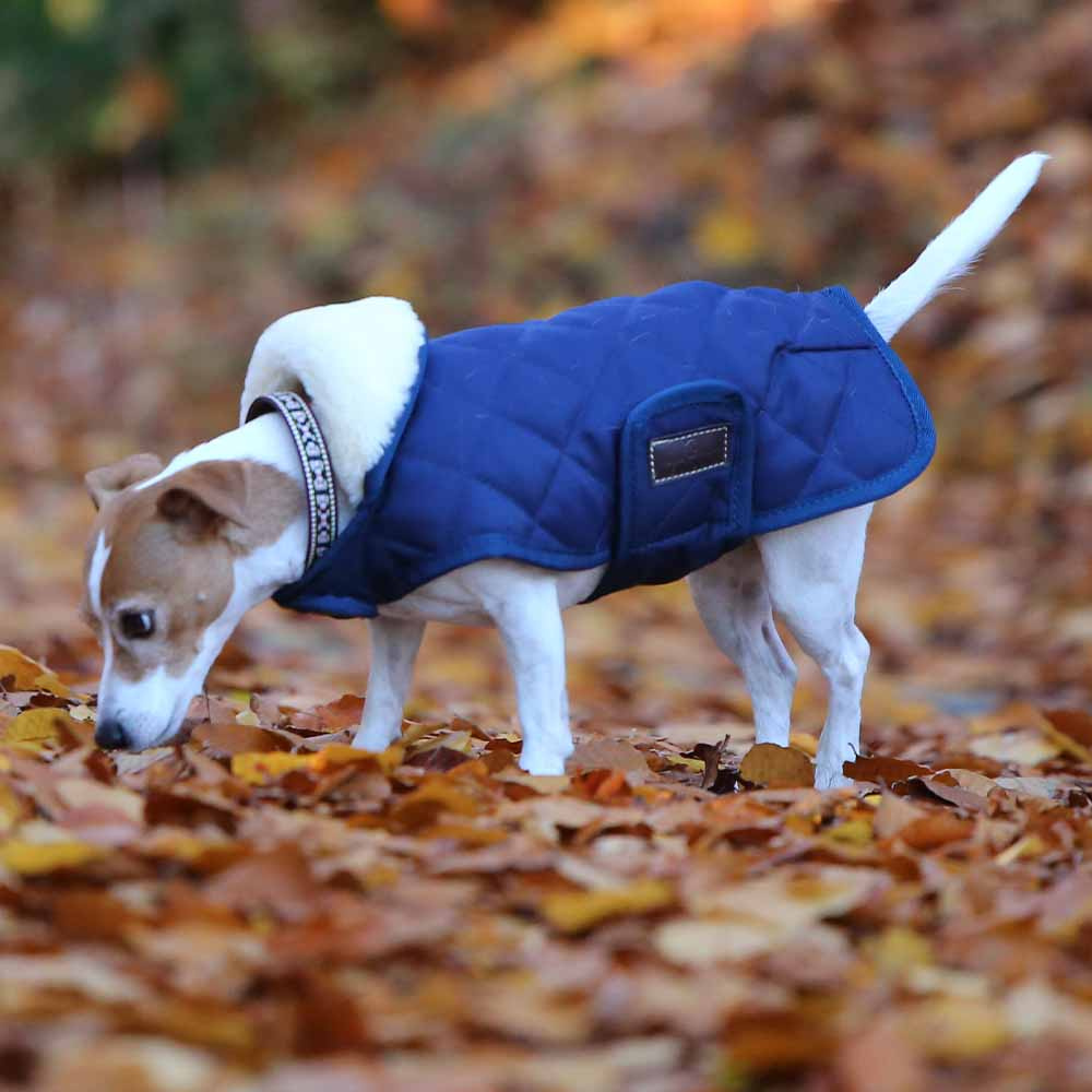 Dog Coat Original Navy