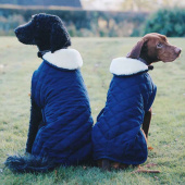 Dog Coat Original Navy