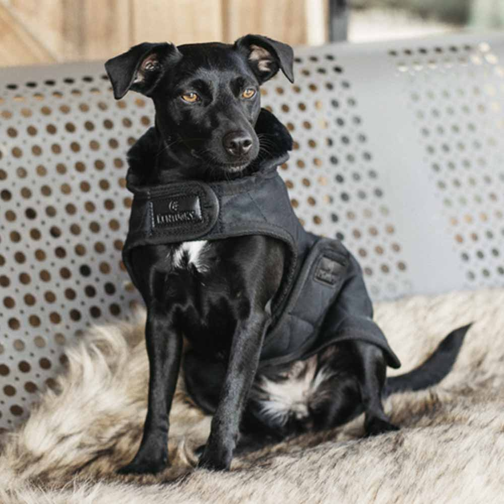 Dog Coat Original Black