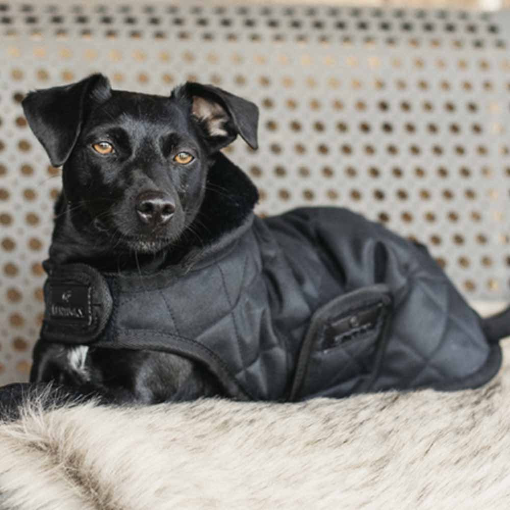 Dog Coat Original Black