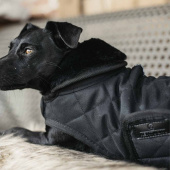 Dog Coat Original Black