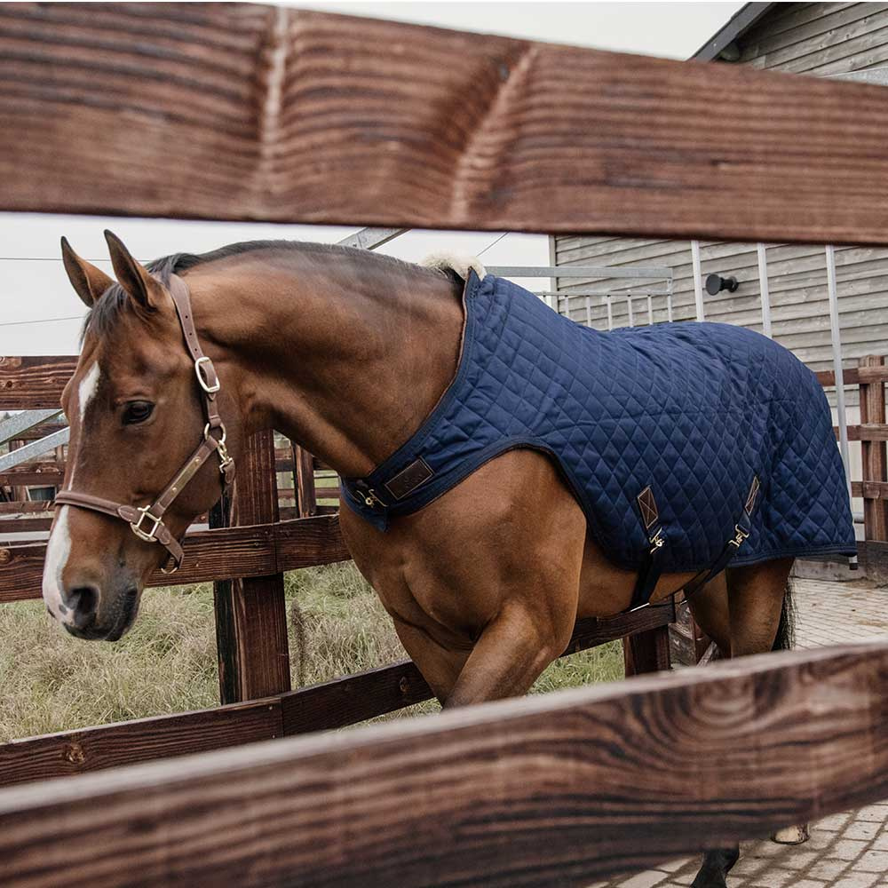 Walker Rug 160g Navy