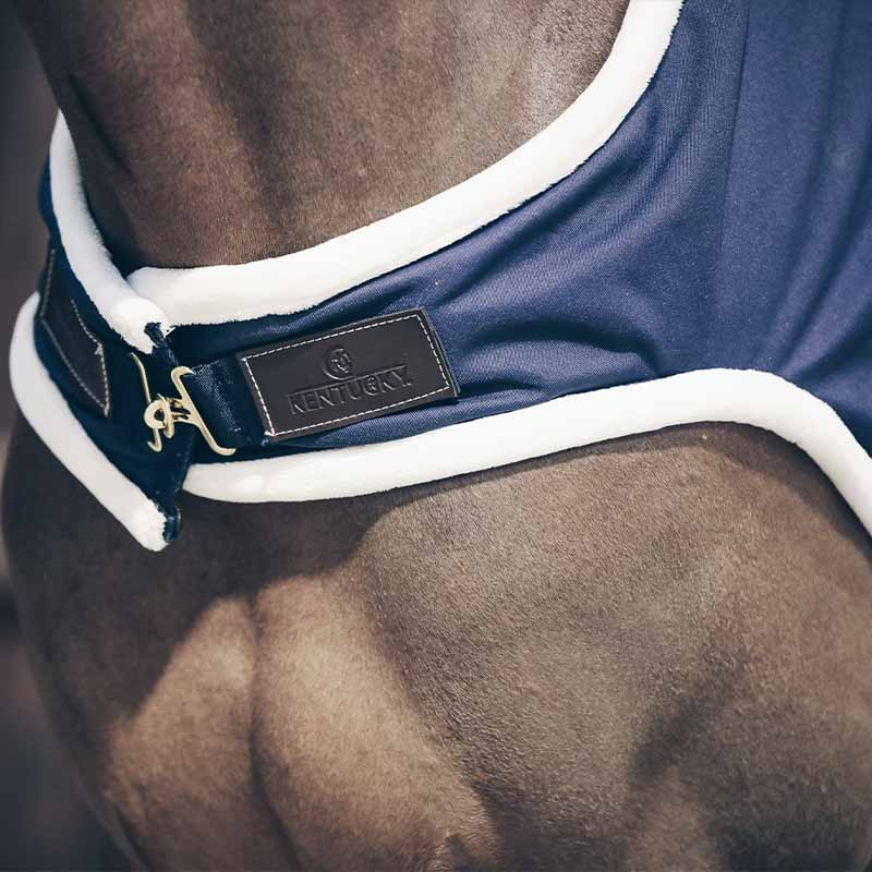 Waterproof Walker Rug Navy