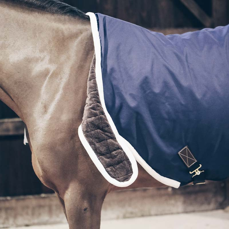 Waterproof Walker Rug Navy