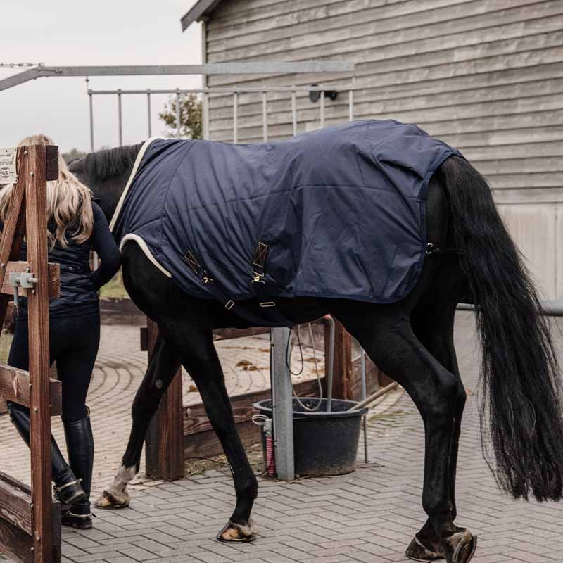 Waterproof Walker Rug Navy