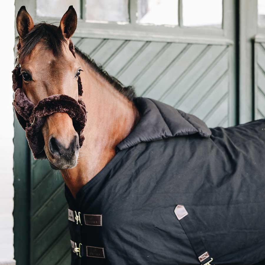 Shoulder Guard Horse BIB Summer Black Full