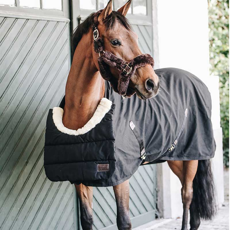 Shoulder Guard Horse BIB Winter Black