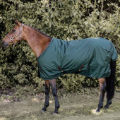 Turnout Rug All Weather Waterproof Pro 160g Dark Green Turnout Rug All Weather Waterproof Pro 160g Dark Green