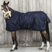 Turnout Rug All Weather Pro 160g Navy Turnout Rug All Weather Pro 160g Navy