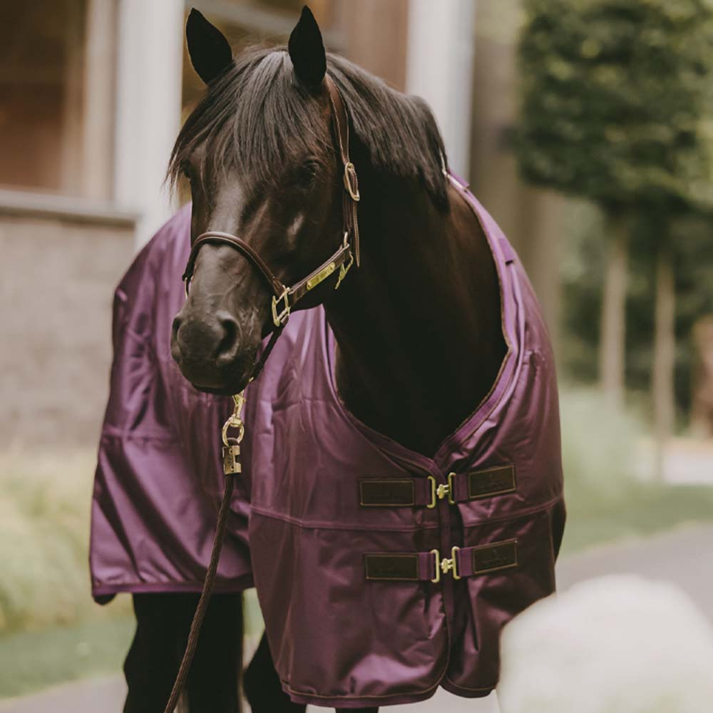 Turnout Rug All Weather Waterproof Pro 160g Royal Purple