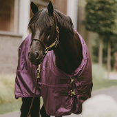 Turnout Rug All Weather Waterproof Pro 160g Royal Purple Turnout Rug All Weather Waterproof Pro 160g Royal Purple