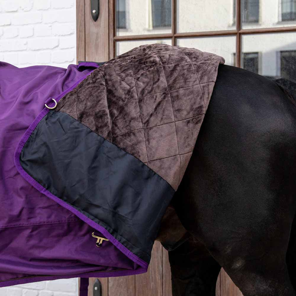 Turnout Rug All Weather Waterproof Pro 160g Royal Purple