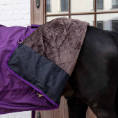 Turnout Rug All Weather Waterproof Pro 160g Royal Purple Turnout Rug All Weather Waterproof Pro 160g Royal Purple