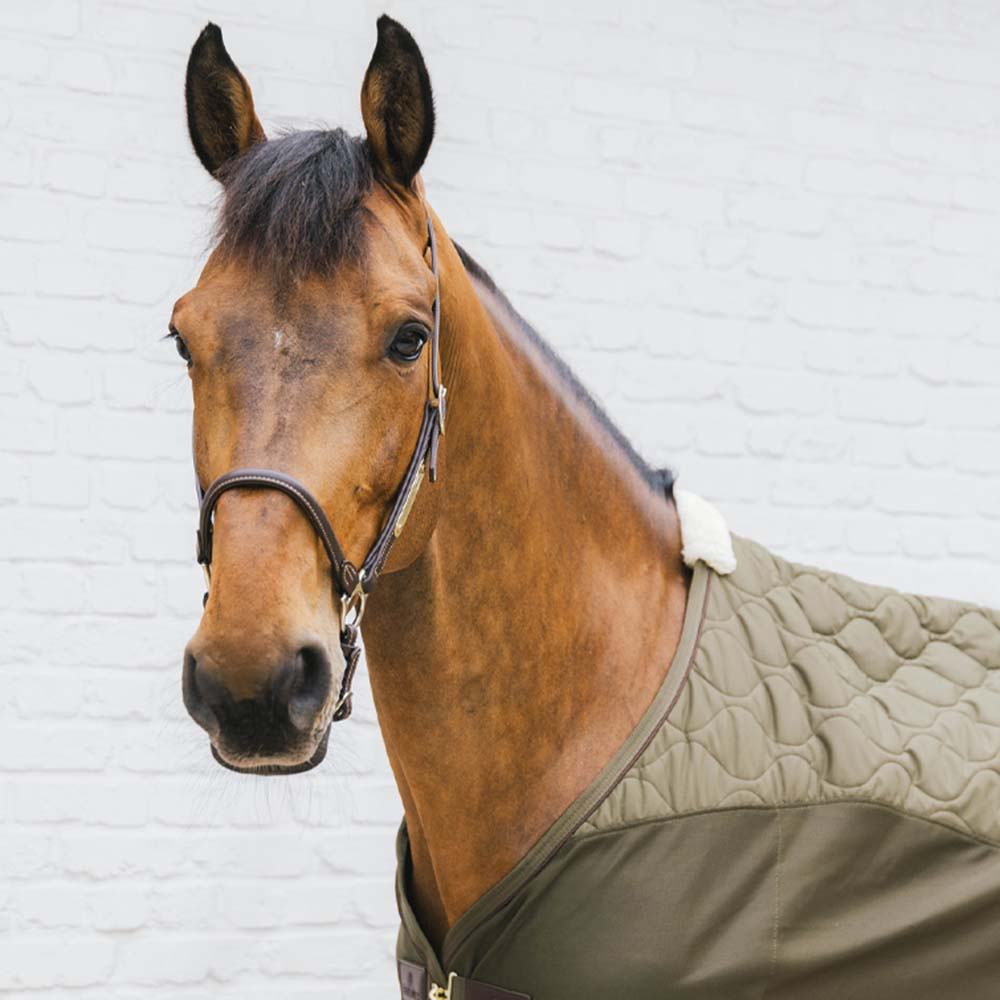 Transport Rug Combo Cooler Fleece Pine Green