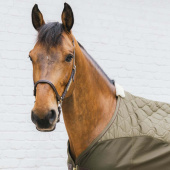 Transport Rug Combo Cooler Fleece Pine Green Transport Rug Combo Cooler Fleece Pine Green