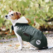 Dog Blanket Waterproof 300g Olive Green