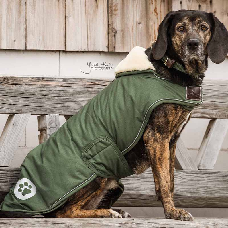 Dog Blanket Waterproof 300g Olive Green