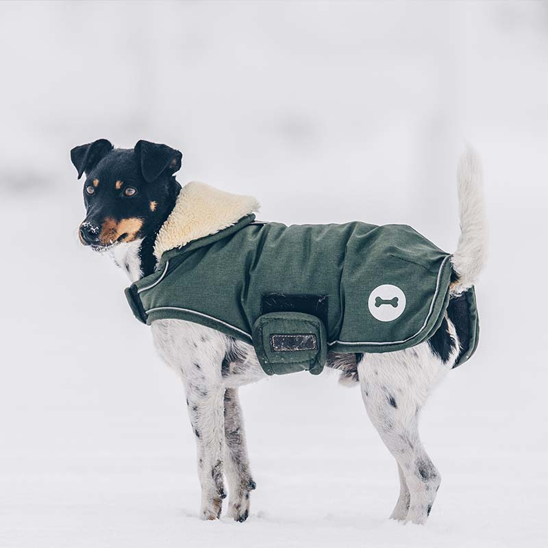 Dog Blanket Waterproof 300g Olive Green