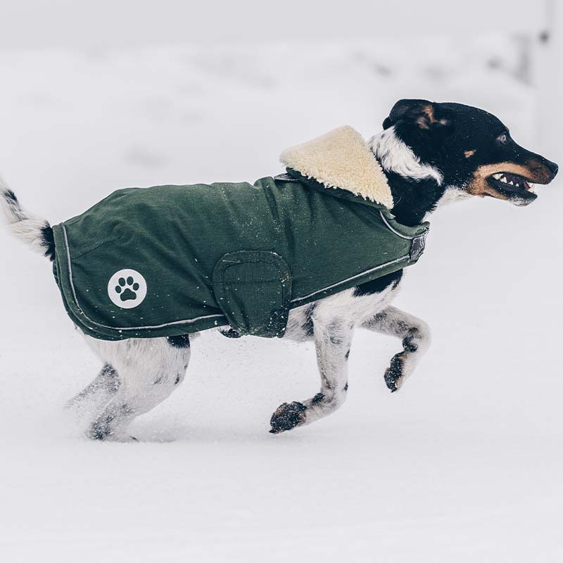 Dog Blanket Waterproof 300g Olive Green