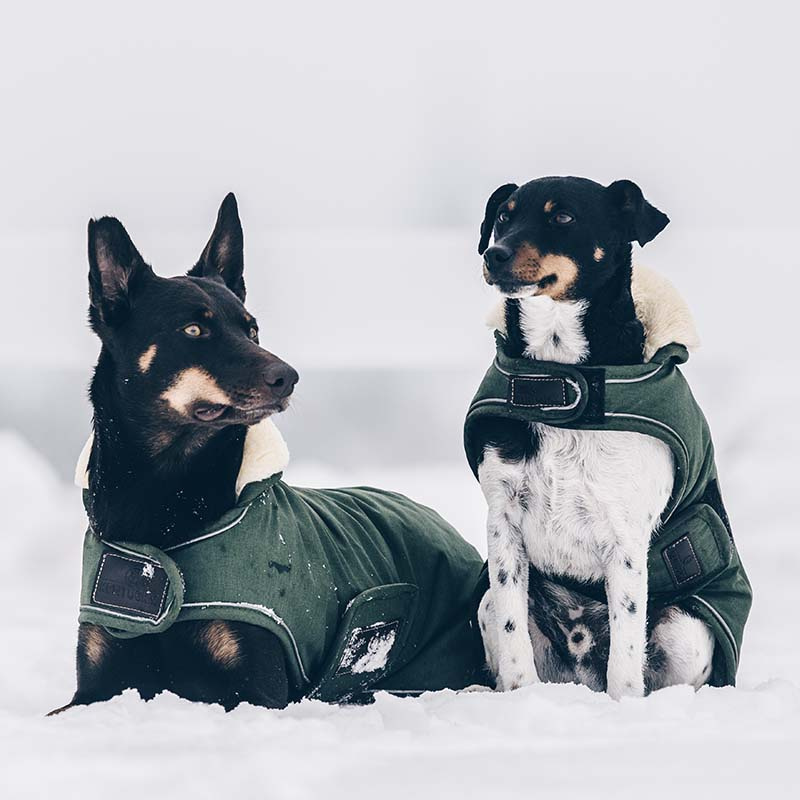 Dog Blanket Waterproof 300g Olive Green