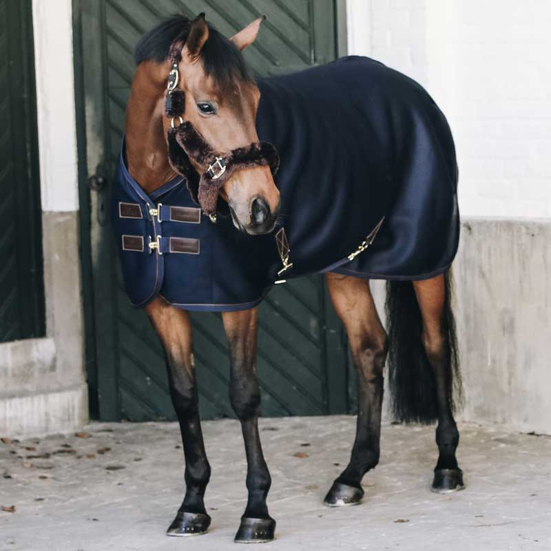 Cooler Rug 3D Spacer Navy